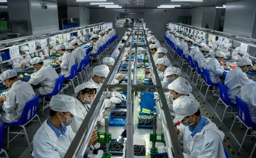 泡沫上的藍海 生物制藥企業(yè)被忽視的真相